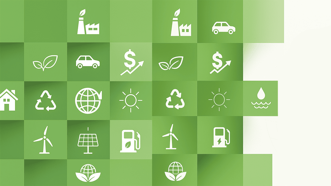 Sostenibilidad en Acción: Principios Clave para Organizaciones Responsables